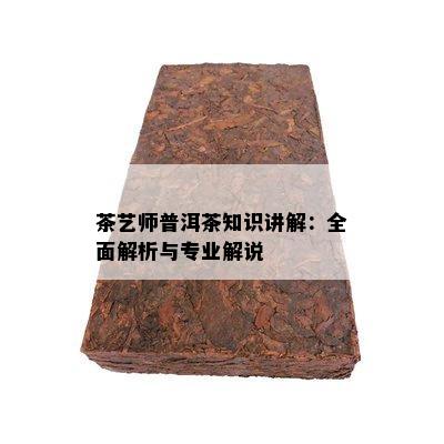 茶艺师普洱茶知识讲解：全面解析与专业解说