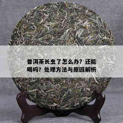 普洱茶长虫了怎么办？还能喝吗？解决方法与起因解析