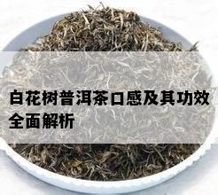 白花树普洱茶口感及其功效全面解析