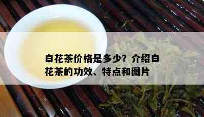 白花茶价格是多少？介绍白花茶的功效、特点和图片