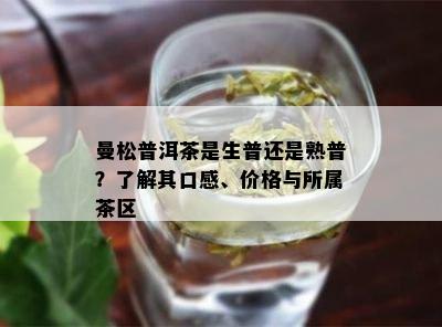 曼松普洱茶是生普还是熟普？熟悉其口感、价格与所属茶区