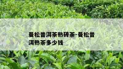 曼松普洱茶熟砖茶-曼松普洱熟茶多少钱