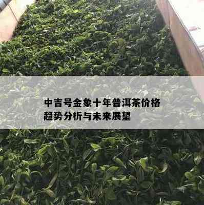 中吉号金象十年普洱茶价格趋势分析与未来展望