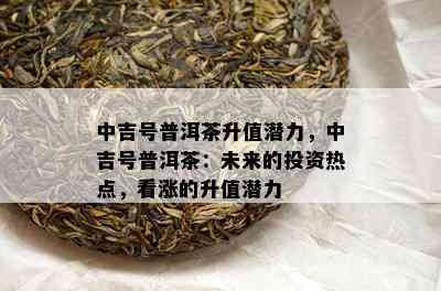 中吉号普洱茶升值潜力，中吉号普洱茶：未来的投资热点，看涨的升值潜力