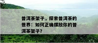 普洱茶架子，探索普洱茶的世界：如何正确摆放你的普洱茶架子？