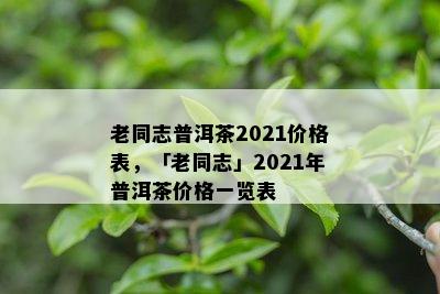 老同志普洱茶2021价格表，「老同志」2021年普洱茶价格一览表