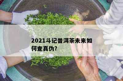 2021斗记普洱茶未来怎样查真伪？