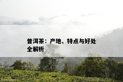 普洱茶：产地、特点与好处全解析