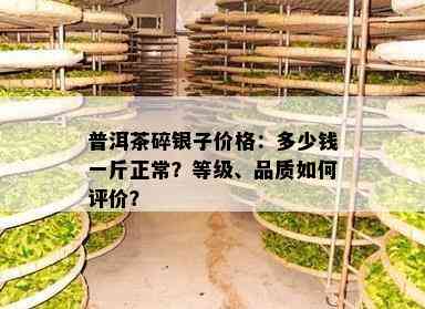 普洱茶碎银子价格：多少钱一斤正常？等级、品质怎样评价？