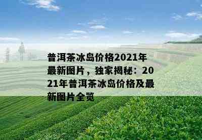 普洱茶冰岛价格2021年最新图片，独家揭秘：2021年普洱茶冰岛价格及最新图片全览