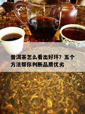 普洱茶怎么看出好坏？五个方法帮你判断品质优劣