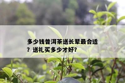 多少钱普洱茶送长辈最合适？送礼买多少才好？