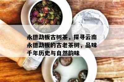 永德勐板古树茶，探寻云南永德勐板的古老茶树，品味千年历史与自然韵味