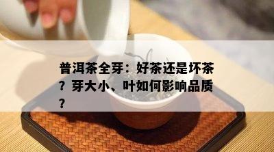 普洱茶全芽：好茶还是坏茶？芽大小、叶怎样作用品质？