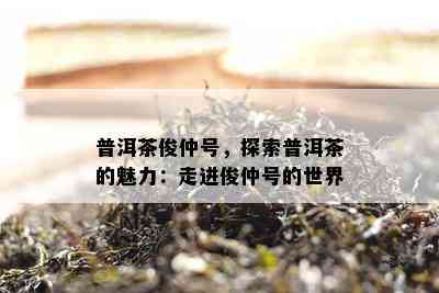 普洱茶俊仲号，探索普洱茶的魅力：走进俊仲号的世界