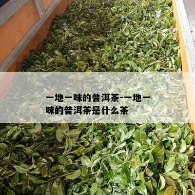 一地一味的普洱茶-一地一味的普洱茶是什么茶