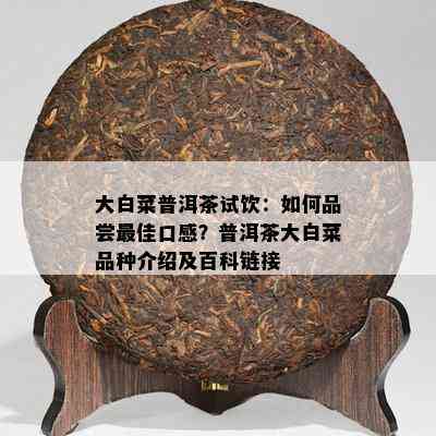 大白菜普洱茶试饮：怎样品尝更佳口感？普洱茶大白菜品种介绍及百科链接