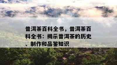 普洱茶百科全书，普洱茶百科全书：揭示普洱茶的历史、制作和品鉴知识