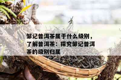 邹记普洱茶属于什么级别，了解普洱茶：探究邹记普洱茶的级别归属