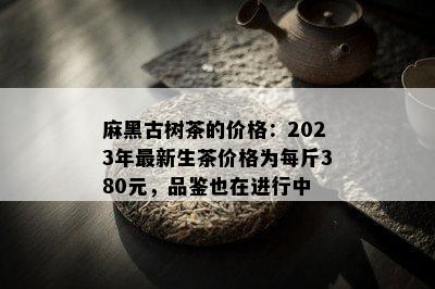 麻黑古树茶的价格：2023年最新生茶价格为每斤380元，品鉴也在进行中