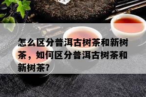 怎么区分普洱古树茶和新树茶，如何区分普洱古树茶和新树茶？