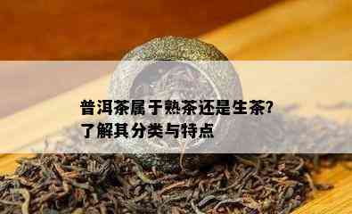 普洱茶属于熟茶还是生茶？熟悉其分类与特点