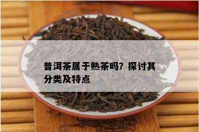 普洱茶属于熟茶吗？探讨其分类及特点