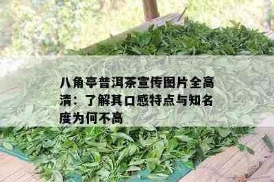 八角亭普洱茶宣传图片全高清：了解其口感特点与知名度为何不高