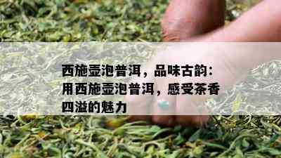 西施壶泡普洱，品味古韵：用西施壶泡普洱，感受茶香四溢的魅力