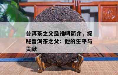 普洱茶之父是谁啊简介，探秘普洱茶之父：他的生平与贡献