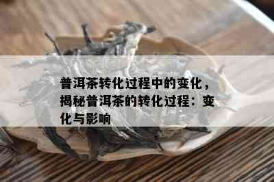 普洱茶转化过程中的变化，揭秘普洱茶的转化过程：变化与影响