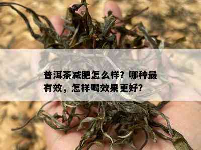 普洱茶减肥怎么样？哪种最有效，怎样喝效果更好？