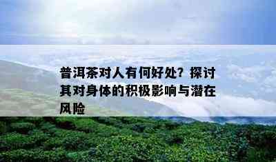 普洱茶对人有何好处？探讨其对身体的积极影响与潜在风险