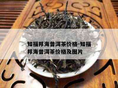 知福邦海普洱茶价格-知福邦海普洱茶价格及图片