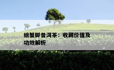 螃蟹脚普洱茶：收藏价值及功效解析