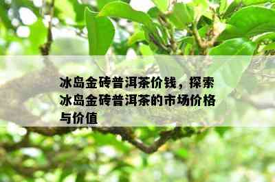 冰岛金砖普洱茶价钱，探索冰岛金砖普洱茶的市场价格与价值