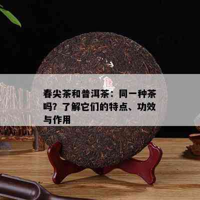 春尖茶和普洱茶：同一种茶吗？熟悉它们的特点、功效与作用