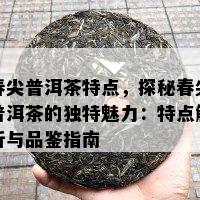 春尖普洱茶特点，探秘春尖普洱茶的特别魅力：特点解析与品鉴指南