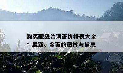 购买藏级普洱茶价格表大全：最新、全面的图片与信息