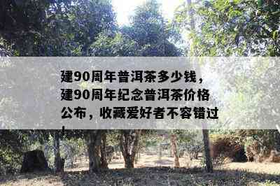 建90周年普洱茶多少钱，建90周年纪念普洱茶价格公布，收藏爱好者不容错过！