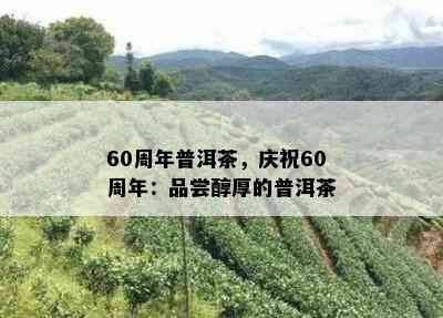 60周年普洱茶，庆祝60周年：品尝醇厚的普洱茶