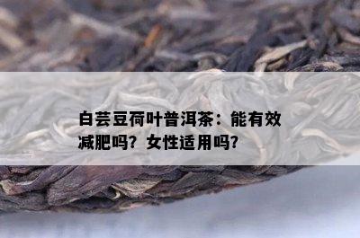 白芸豆荷叶普洱茶：能有效减肥吗？女性适用吗？