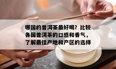 哪国的普洱茶更好喝？比较各国普洱茶的口感和香气，熟悉更佳产地和产区的选择。