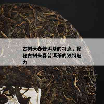 古树头春普洱茶的特点，探秘古树头春普洱茶的特别魅力