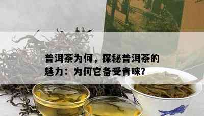 普洱茶为何，探秘普洱茶的魅力：为何它备受青睐？