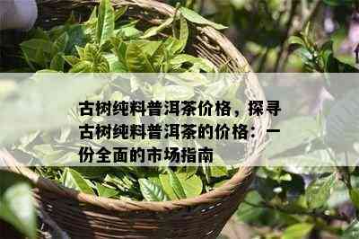 古树纯料普洱茶价格，探寻古树纯料普洱茶的价格：一份全面的市场指南