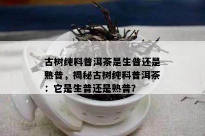 古树纯料普洱茶是生普还是熟普，揭秘古树纯料普洱茶：它是生普还是熟普？