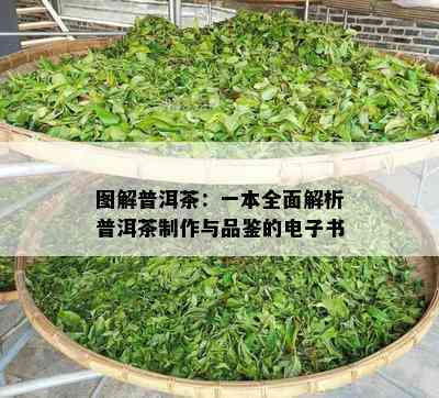 图解普洱茶：一本全面解析普洱茶制作与品鉴的书