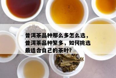 普洱茶品种那么多怎么选，普洱茶品种繁多，如何挑选最适合自己的茶叶？