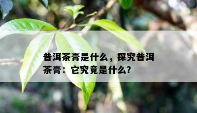 普洱茶膏是什么，探究普洱茶膏：它究竟是什么？